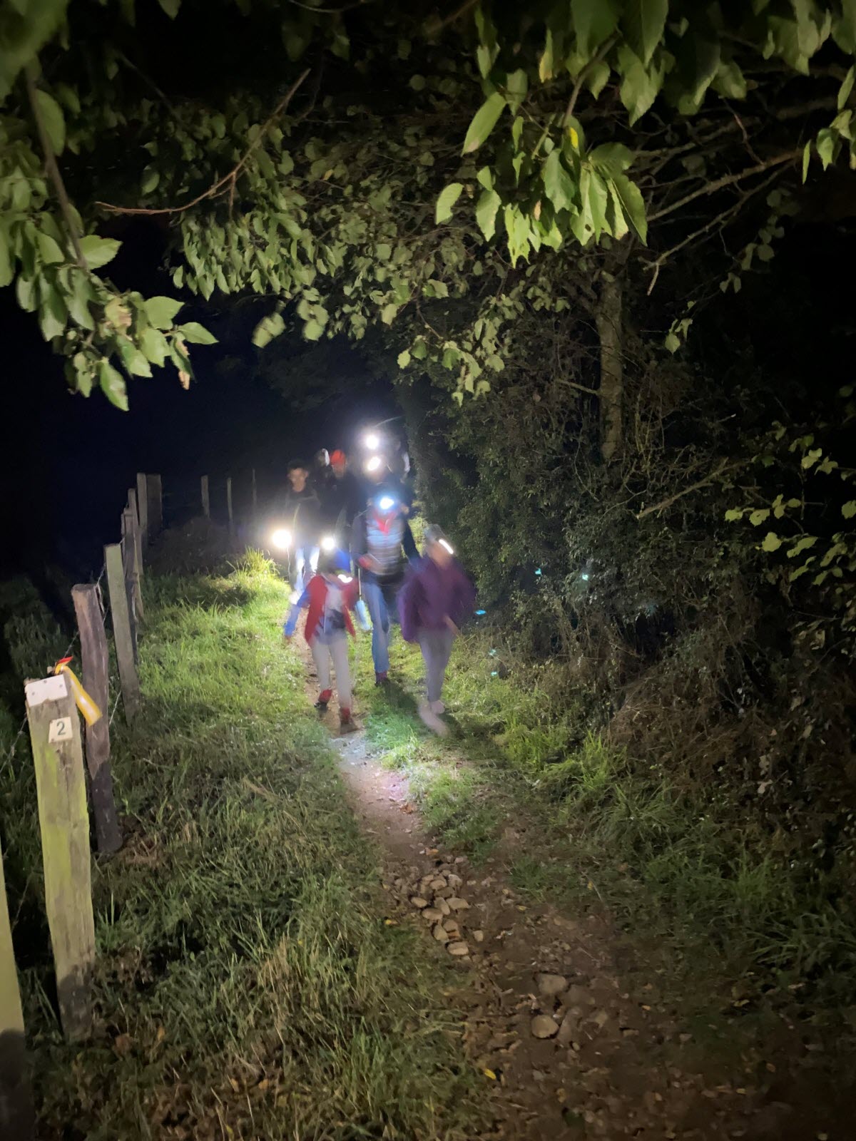 Optez pour la marche de nuit du CCAS, le samedi 30 septembre !