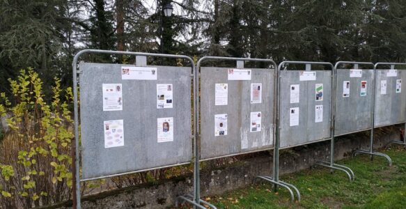 Election du nouveau Conseil Municipal des Enfants, ce mardi 14 novembre