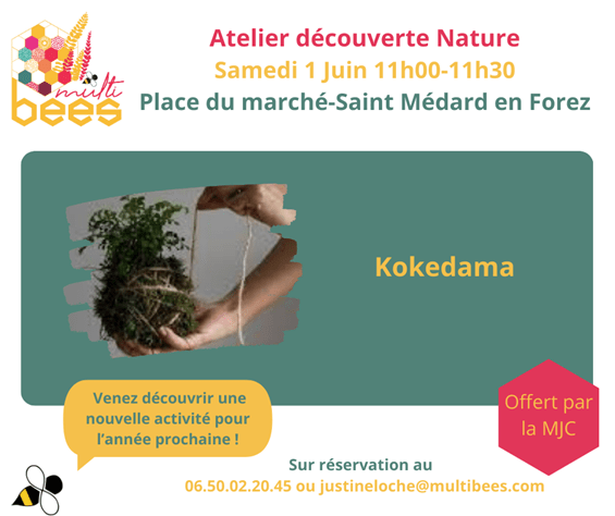 20250601-MJC-Ateliers-DecouverteEnfants-Adultes-Association-Multi-BEES-Kokedama