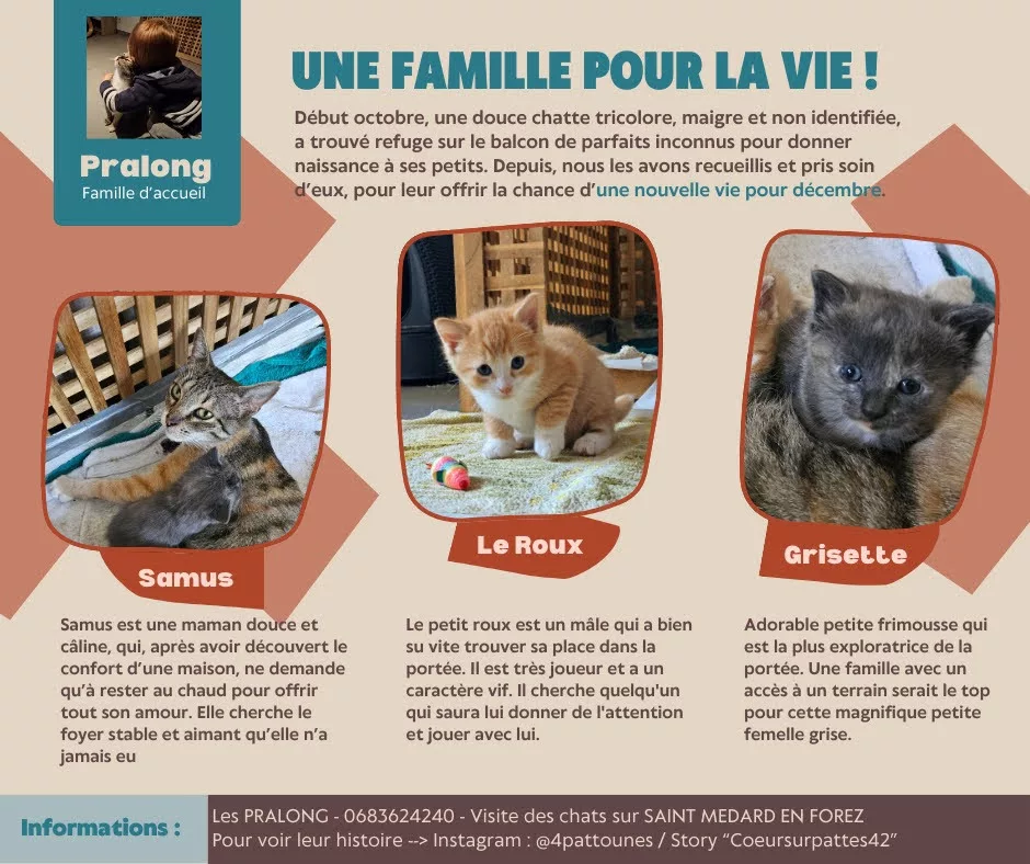 20241105-Pralong-Famille-Acceuil