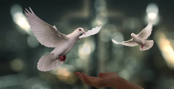 Commémoration du 107ᵉ anniversaire de l’Armistice du 11 novembre 1918