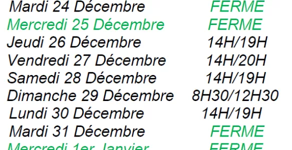 Piscine d’Hurongues : Horaires d’ouverture des vacances de Noël 2024
