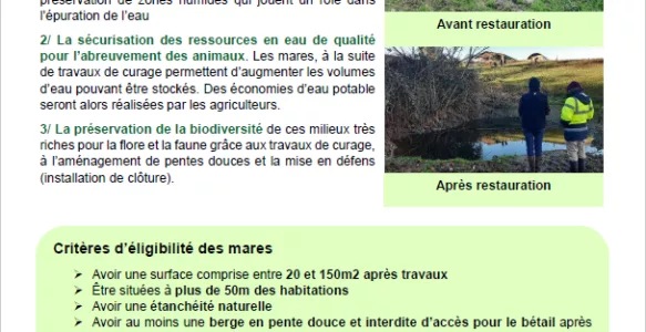 Nouveau programme de restauration des mares