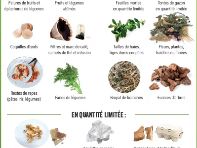 Rappels composteur collectif