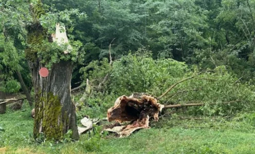 Un orage dévastateur, Saint-Médard en état de choc