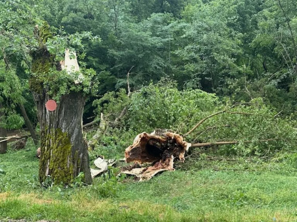 Un orage dévastateur, Saint-Médard en état de choc