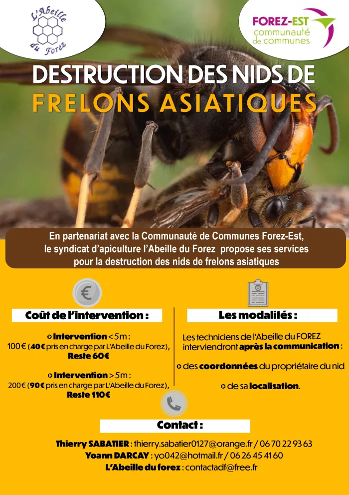 Destruction des nids de frelons asiatiques 1 20250619-Destruction-Nids-Frelons-Asiatiques