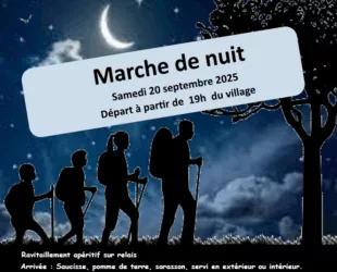 20250920-Marche-De-Nuit