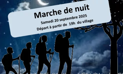 Découvrez les bienfaits d’une balade sous les étoiles, ce samedi 20 septembre