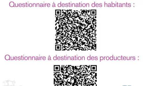 CCFE : Questionnaire marchés plein vent