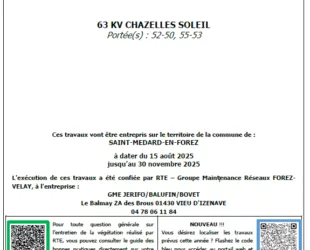 20250811-RTE-Avis-Elagage