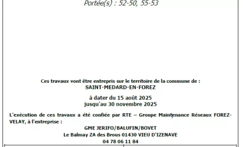 Travaux d’élagage et abattage sur Saint-Médard-en-Forez