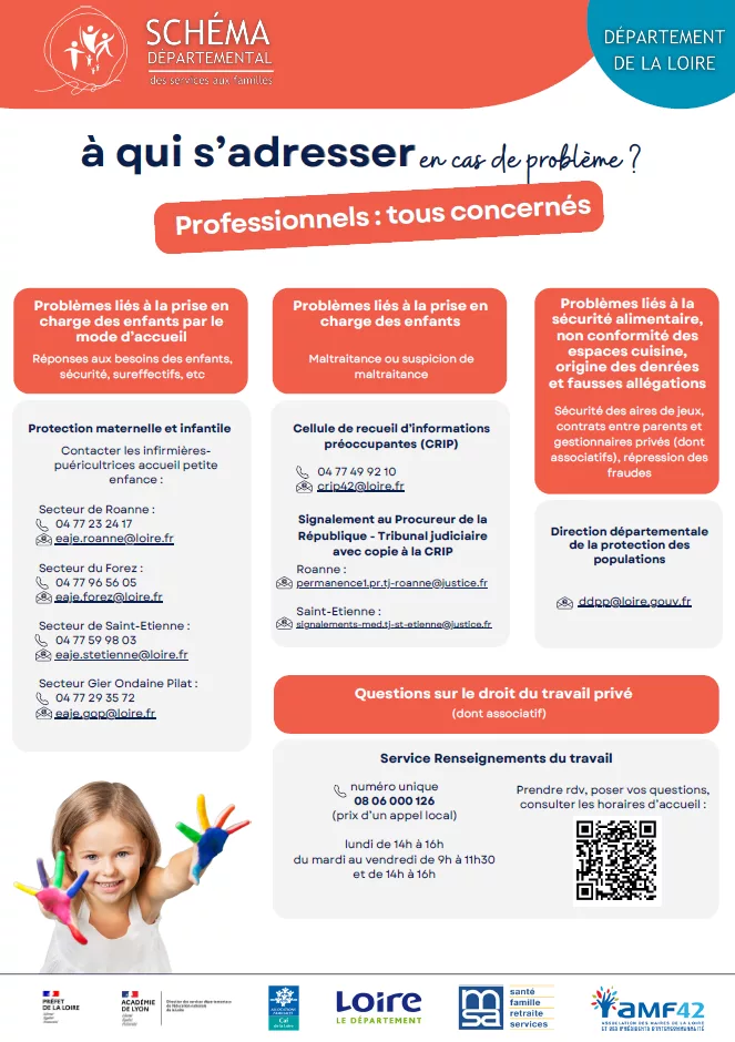 20250811-Schema-Departemental-Services-Aux-Familles-Professionnels