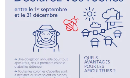 Campagne de Déclaration des ruches 2025