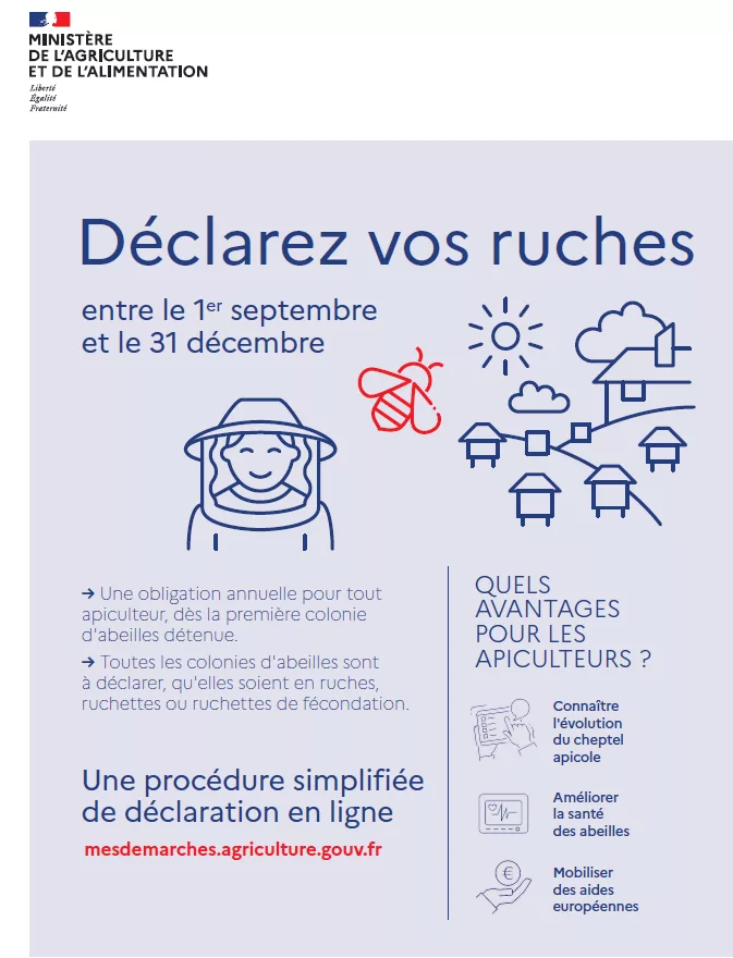 20250906-Campagne-Declaration-Ruches