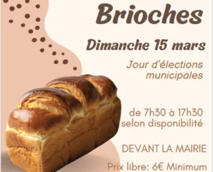 20260315-Vente-Brioches