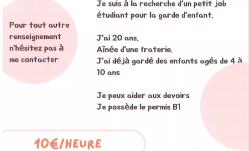 Offre de babysitting : Anna 20 ans, Job étudiant