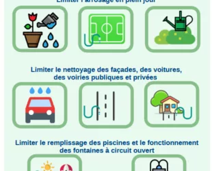 20260620-Vigilance-Economie-Volontaires