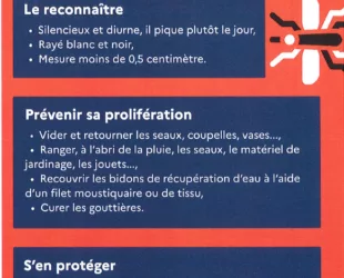 20260630-Limitons-Proliferation-Moustique-Tigre
