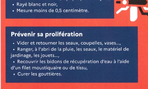 Limitons la prolifération du moustique tigre !