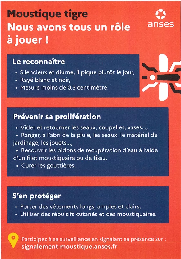 Limitons la prolifération du moustique tigre !